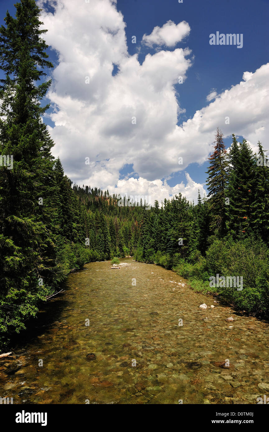 Selway, River, Frank Church, Wilderness, Nez Perce pass, nature, Idaho, USA, United States, America, North America, Stock Photo