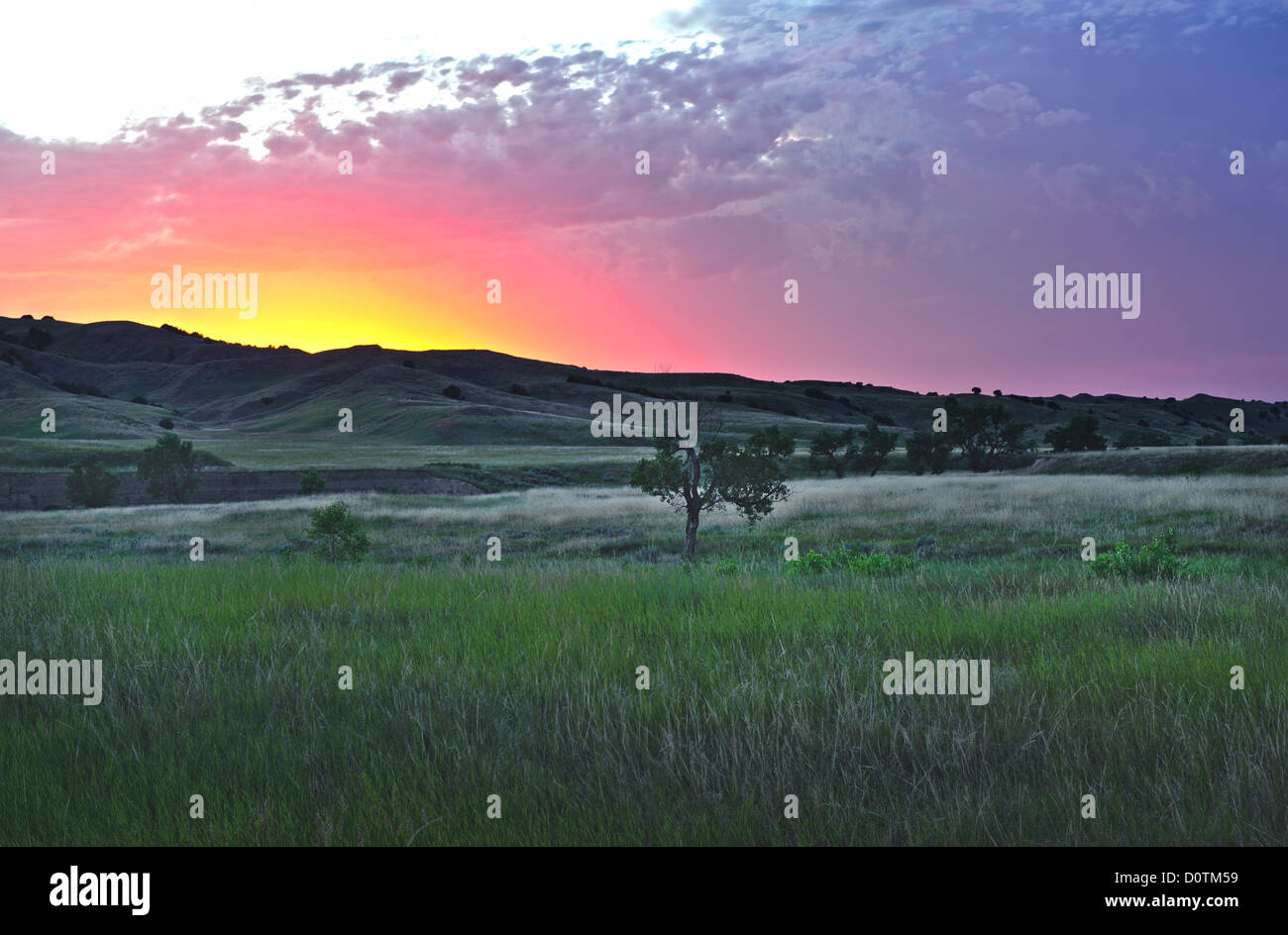 America, Great Plains, lone tree, sunset, landscape, Grassland, Badlands, National Park, Great Plains, South Dakota, USA, United Stock Photo