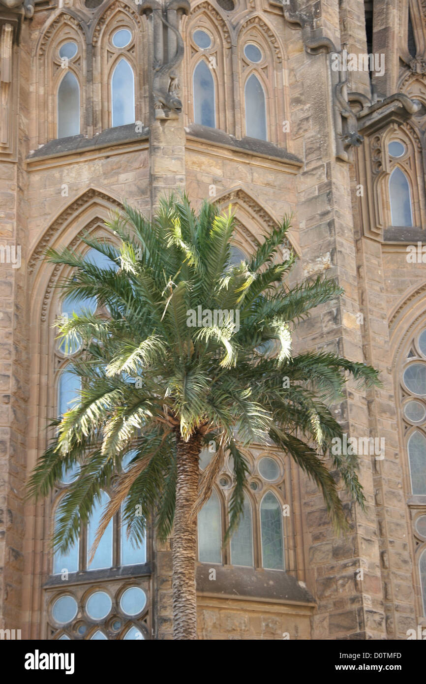 Spain, Barcelona, architecture, Sagrada Familia, basilica, Antoni Gaudi, Gaudi, church, landmark, detail, palm Stock Photo