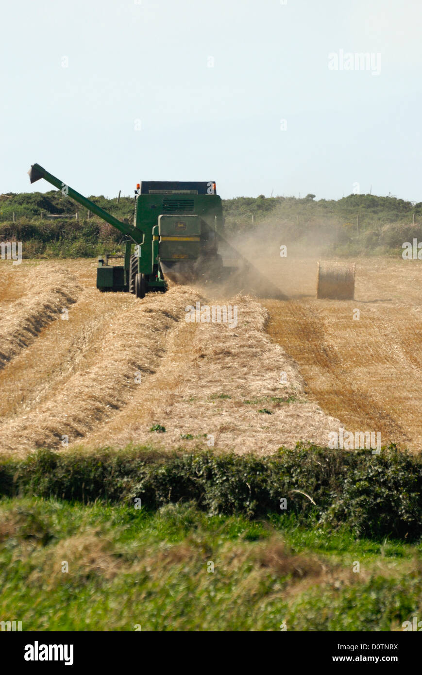 A combine harvester in a small field cutting hay for silage in the sunshine Stock Photo