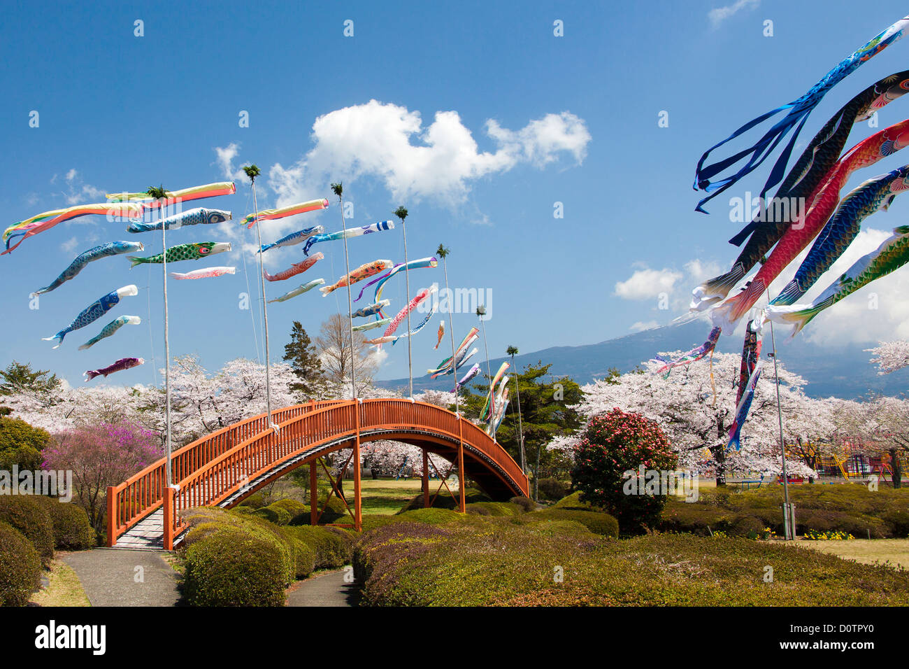 Japan, Asia, holiday, travel, Koinobori, Children Festival, spring, volcano, garden, flag, carp, streamer, Japanese, garden, bri Stock Photo