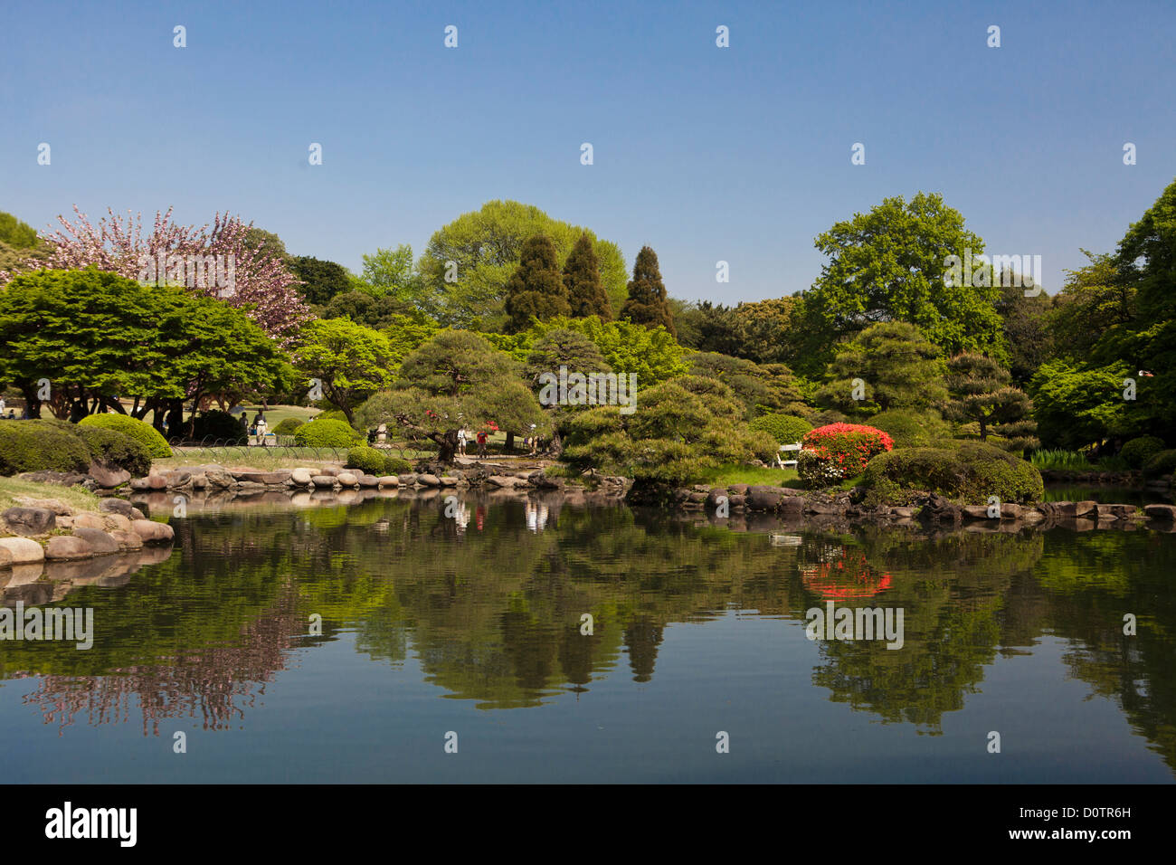 Japan, Asia, holiday, travel, Tokyo, City, Shinjuku, District, Shinjuku, Gyoen, Gardens, park, pond, spring Stock Photo