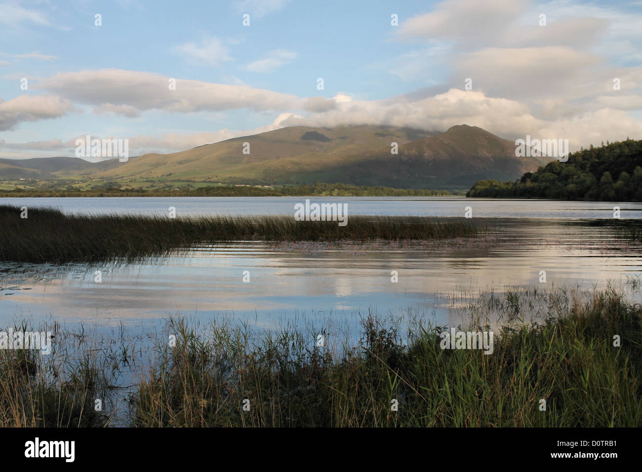 Bassenthwaite lake and the mountain of Skiddaw Stock Photo