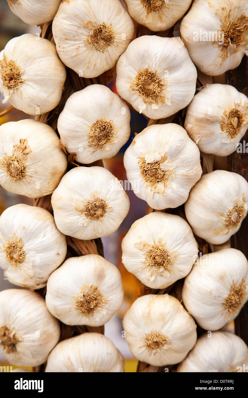 String garlic ristra de ajos hi-res stock photography and images - Alamy