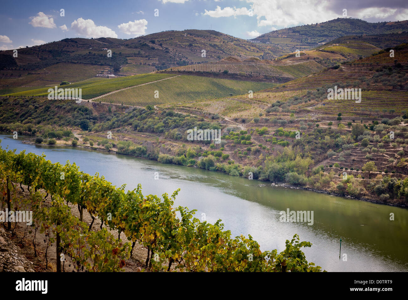 Vineyards of the Douro Valley, Portugal Stock Photo