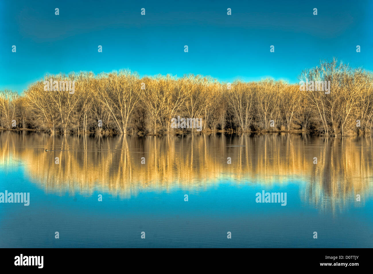 bosque del apache, nature, water, vegetation, New Mexico, USA, United States, America, Stock Photo