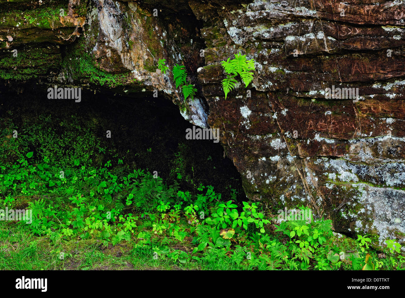 Sandstone rock face hi-res stock photography and images - Alamy