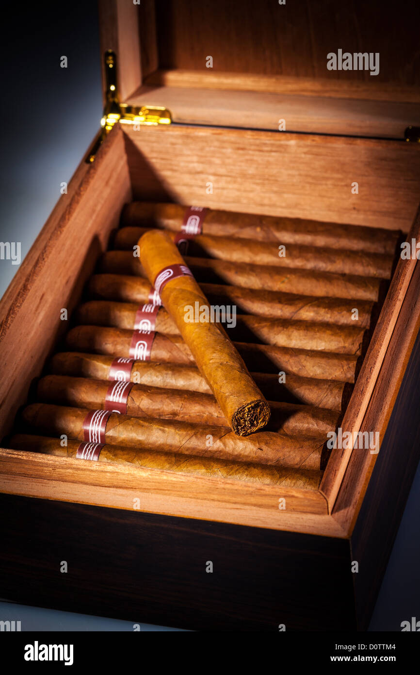 Cigars in humidor Stock Photo Alamy