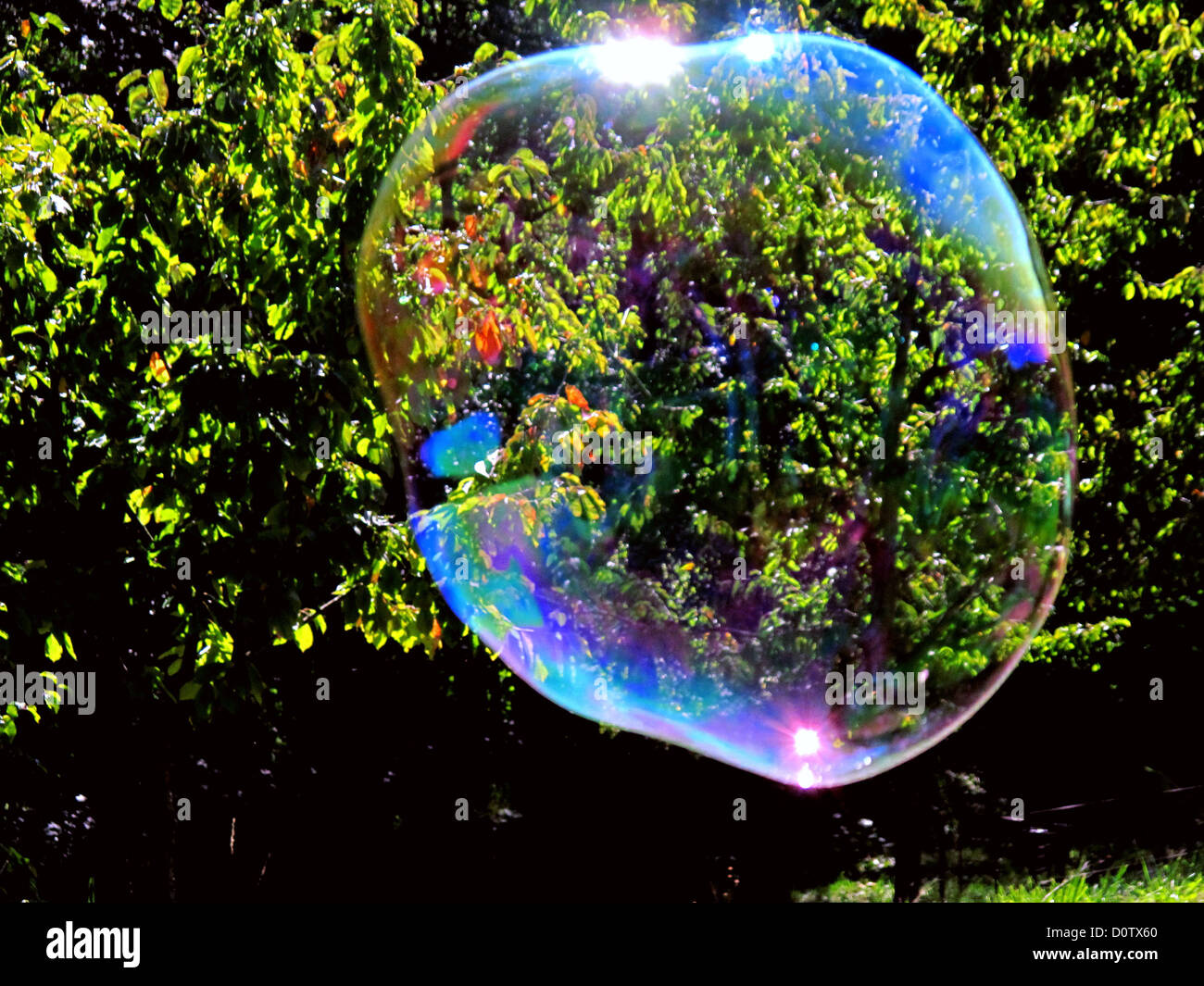 Soap bubble, bubble, colors, spectral colors, reflection, light, bushes, thicket, green Stock Photo