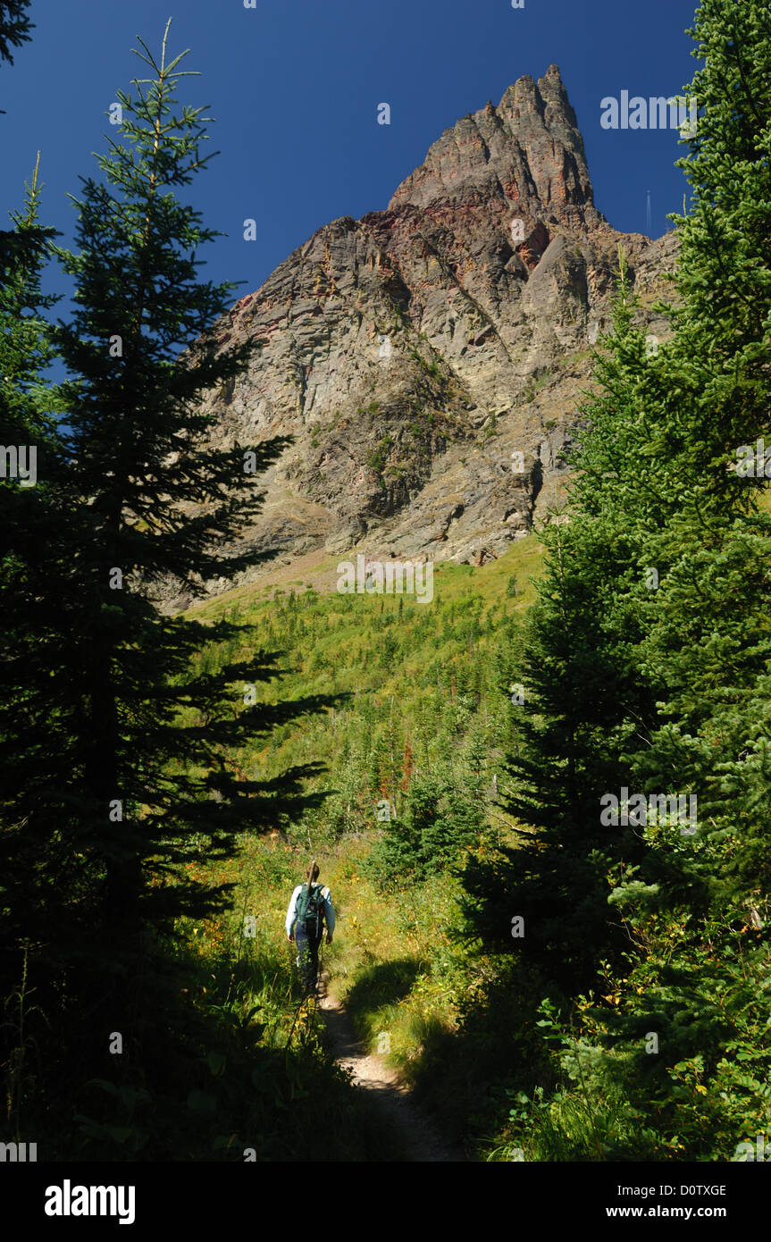 Hiker walking a trail in Glacier National Park Montana Stock Photo Alamy