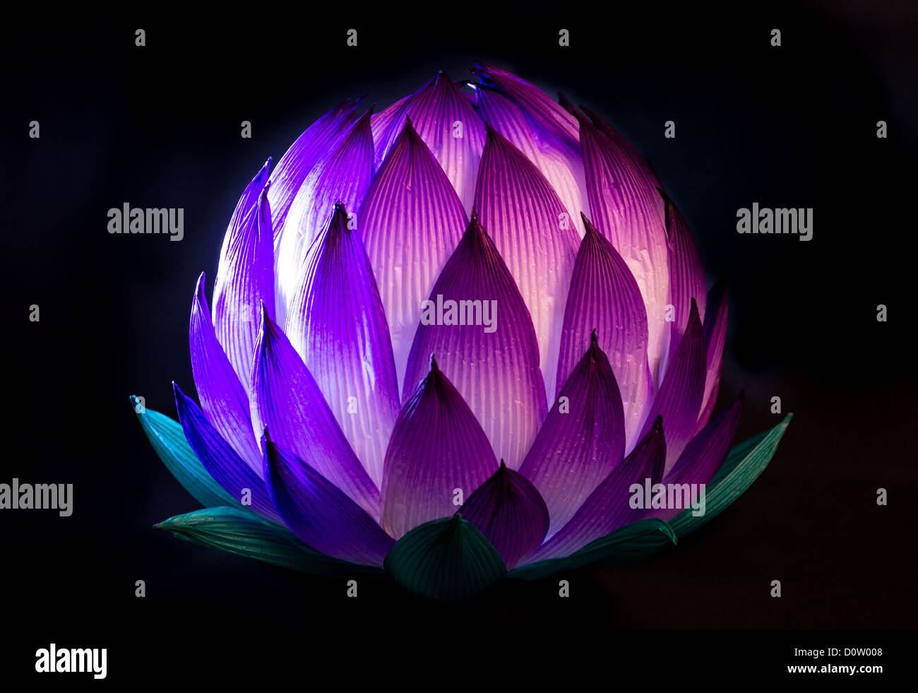 lotus paper lantern