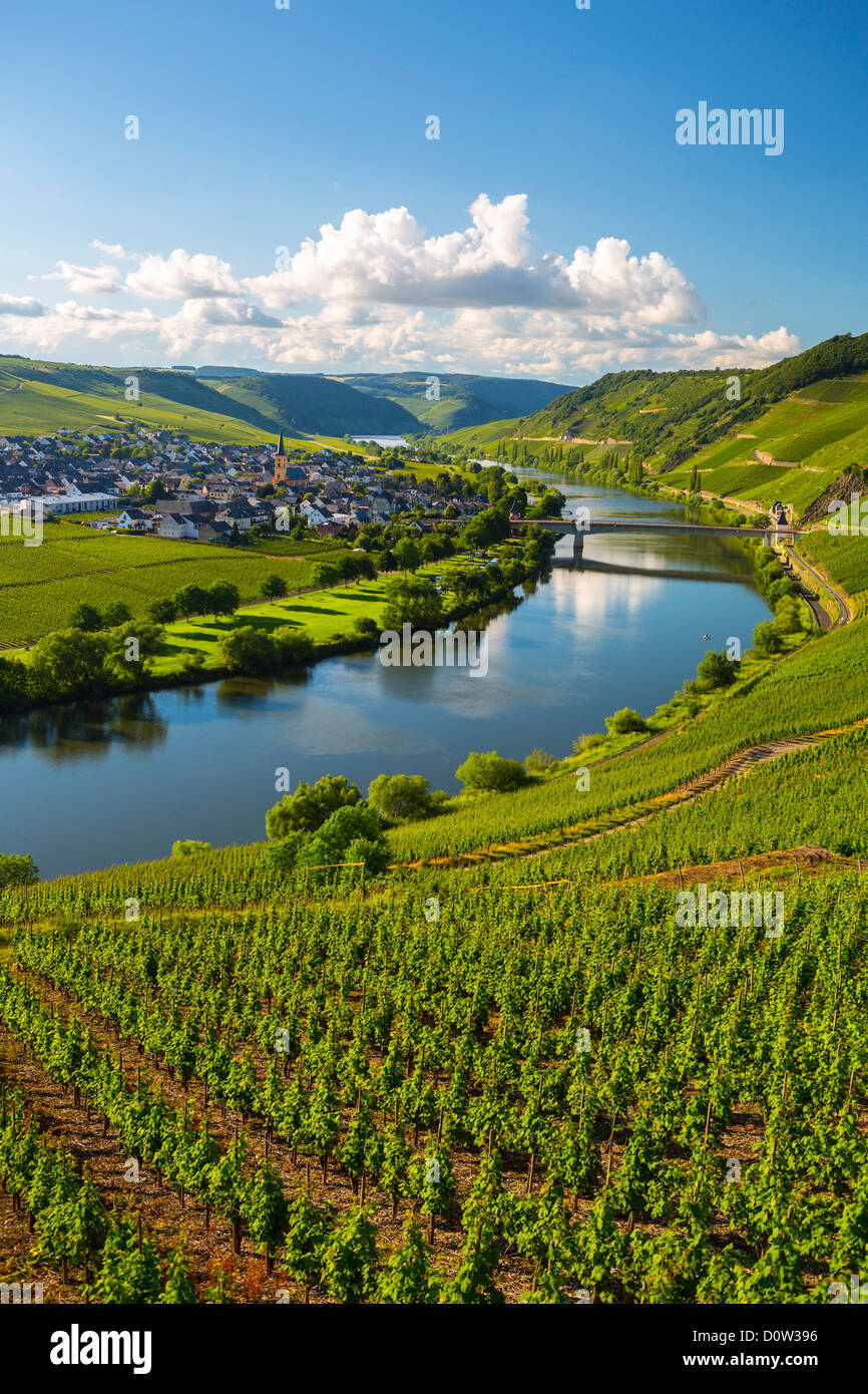 Germany, Europe, travel, Moseltal, Moselle, Trittenheim, Moselle, River, vineyards, agriculture, bend, clouds, Mosel, nature, to Stock Photo