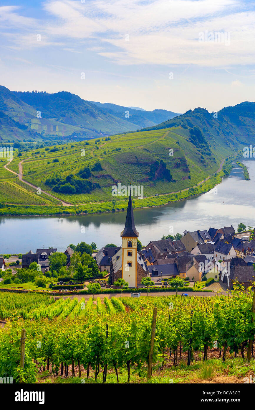 Germany Europe travel Moseltal Moselle Valley Bremm agriculture bend church Mosel tourism valley village vineyard Stock Photo