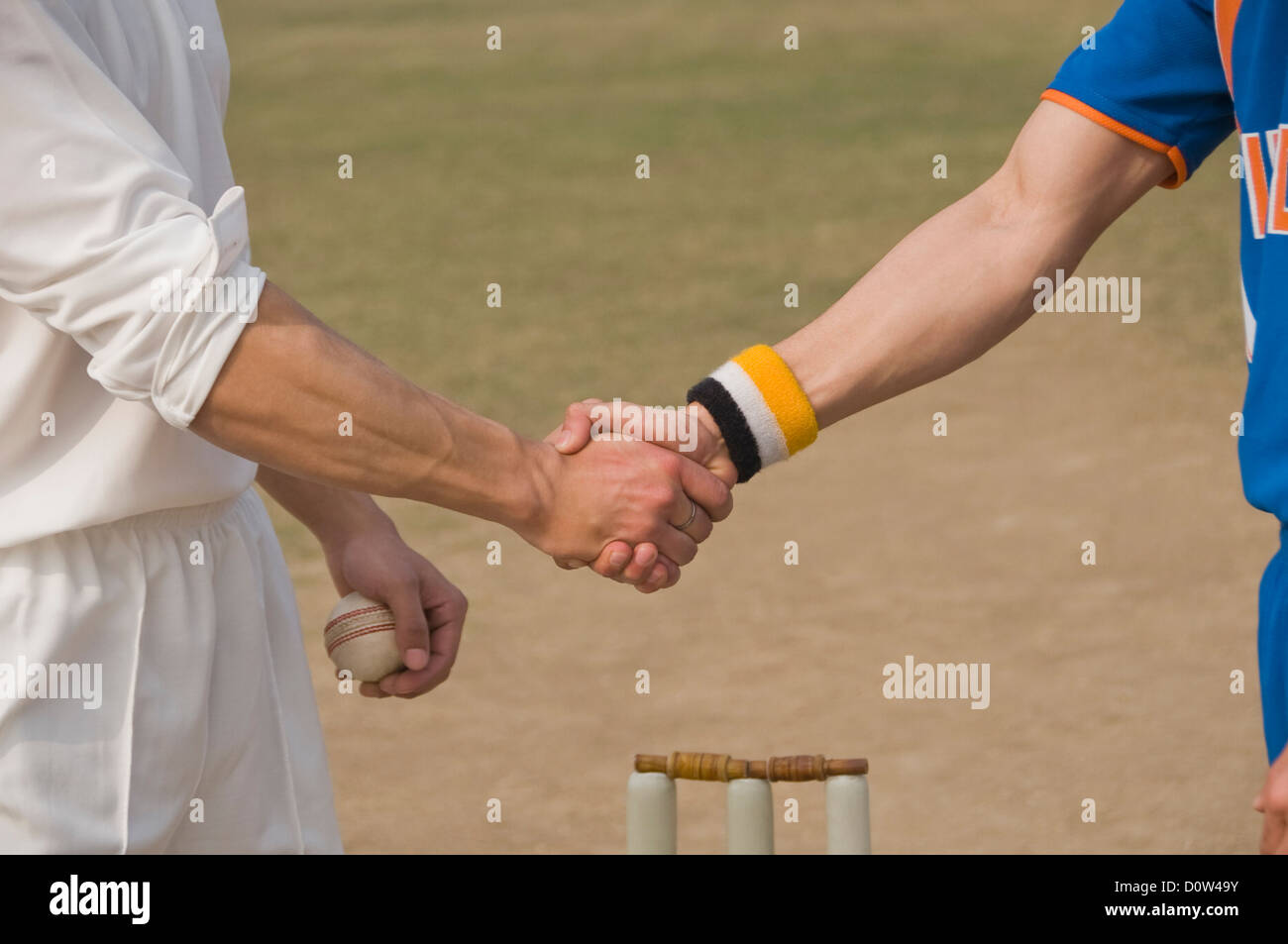 Two cricket players shaking hands Stock Photo Alamy
