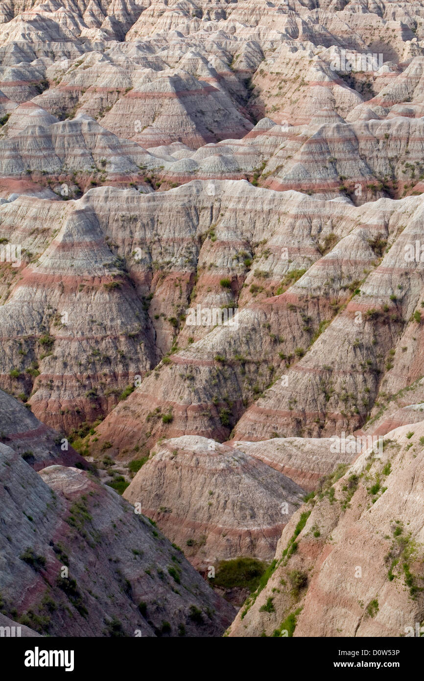 USA, Vereinigte Staaten, Amerika, Badlands, Nationalpark, SD, South Dakota, Black Hills, Wüste, Prärie, Mittlerer Westen, landsc Stock Photo