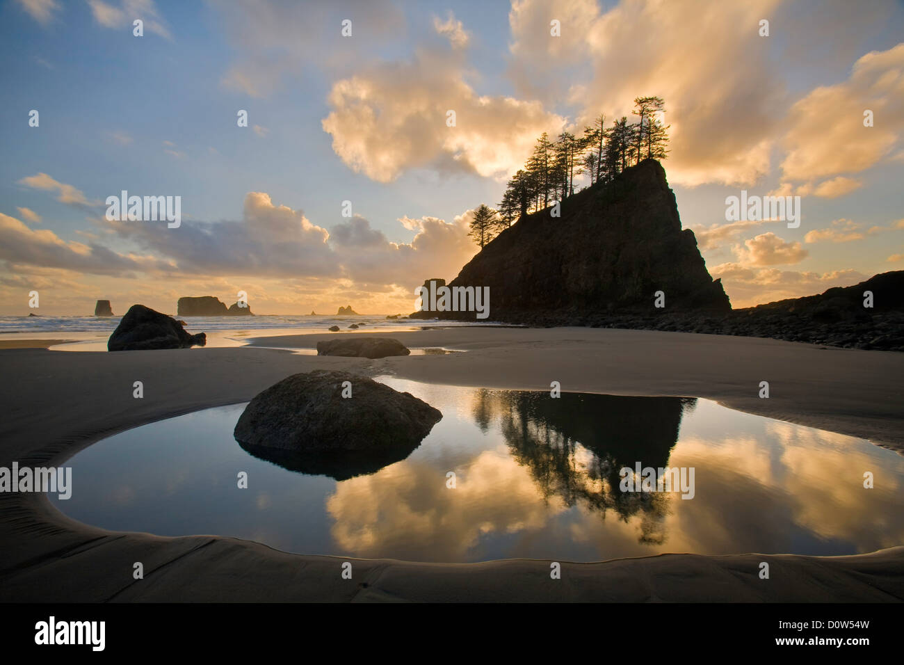 USA, Vereinigte Staaten, Amerika, Wasser, Gezeitenbecken, Wasser, Olympic, Nationalpark, Strand, wild, Sonnenuntergang, Küste, K Stock Photo