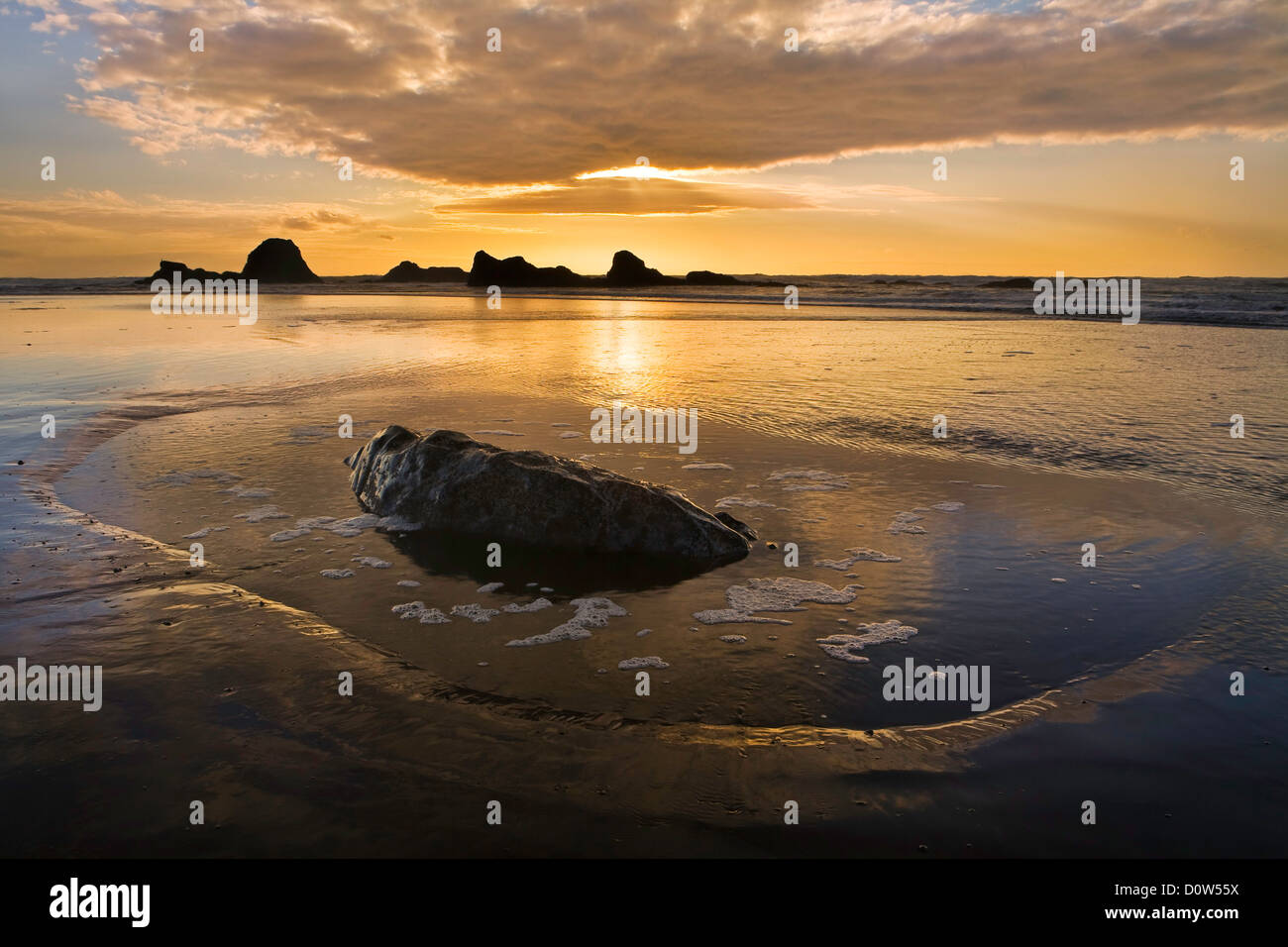 USA, Vereinigte Staaten, Amerika, Wasser, Gezeitenbecken, Wasser, Olympic, Nationalpark, Strand, wild, Sonnenuntergang, Küste, K Stock Photo