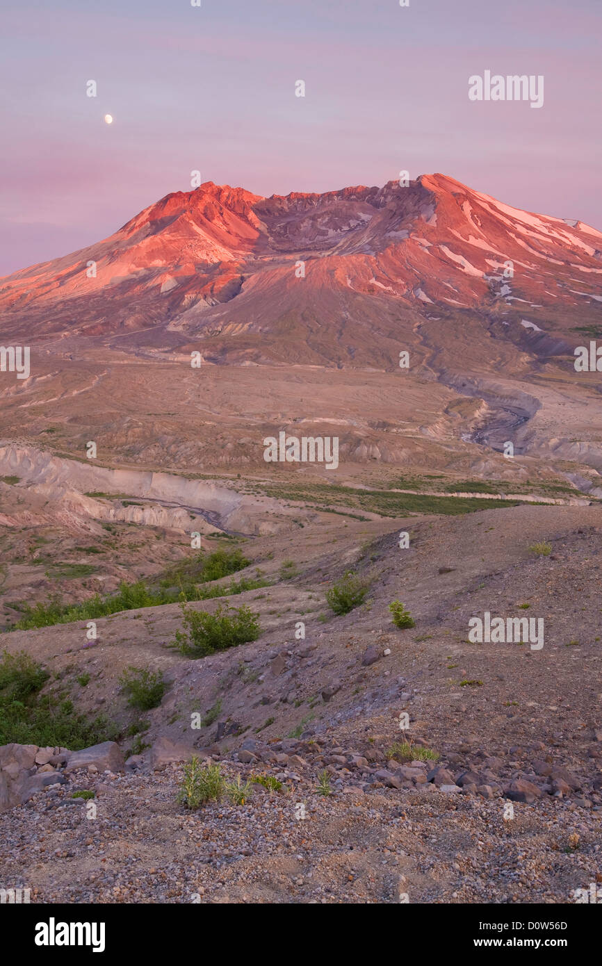 USA, Vereinigte Staaten, Amerika, Berg, Spitze, Cascade Range, Vulkan,  vulkanisch, Sonnenuntergang, Mount St. Helens, Mt. Heilig Stock Photo -  Alamy