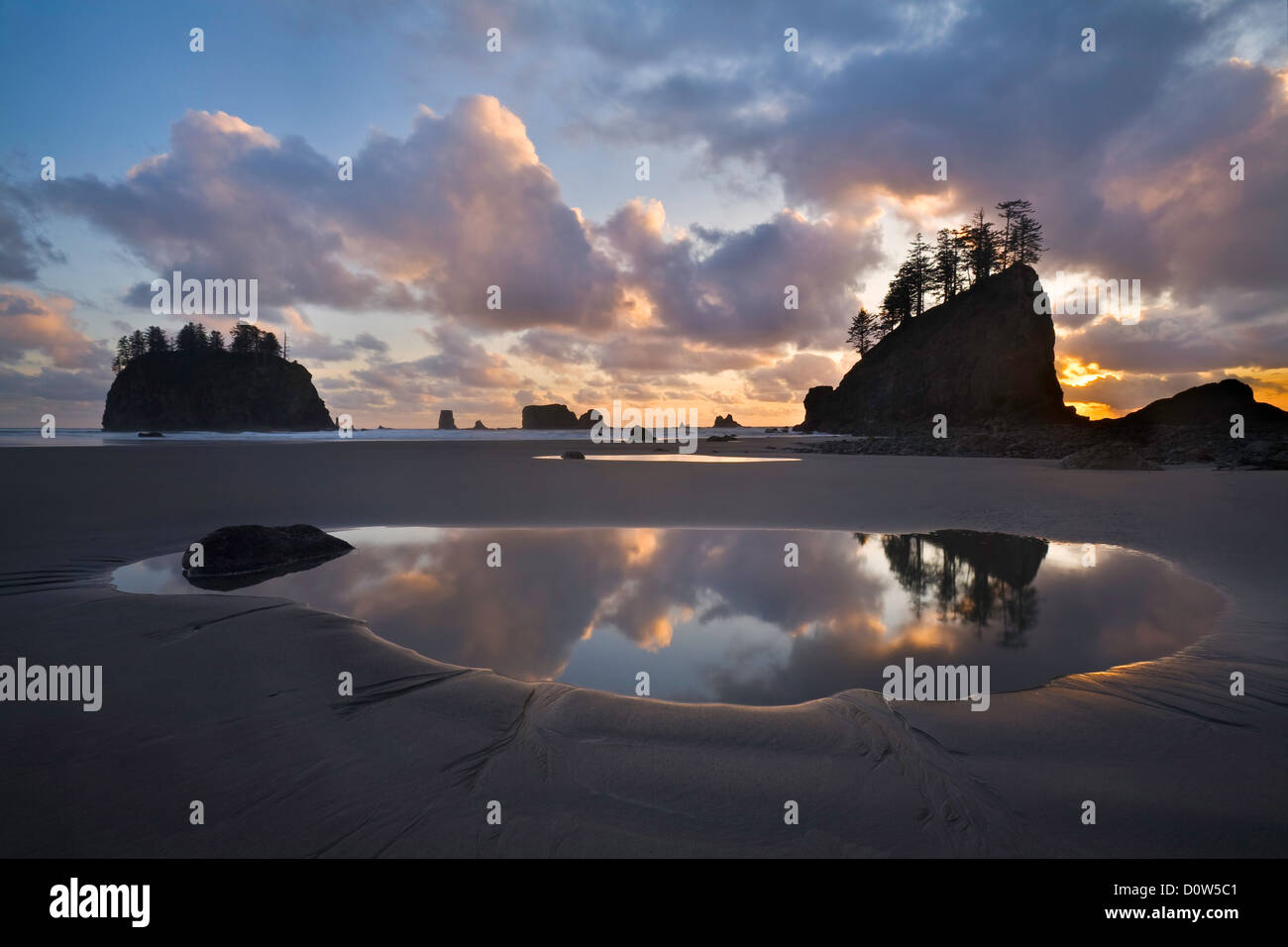 USA, Vereinigte Staaten, Amerika, Wasser, Gezeitenbecken, Wasser, Olympic, Nationalpark, Strand, wild, Sonnenuntergang, Küste, K Stock Photo