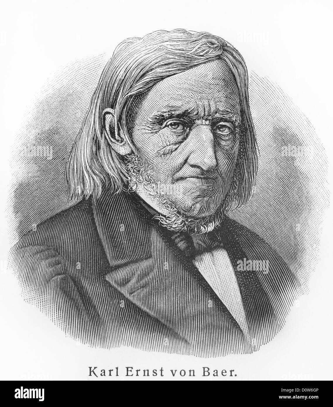 Karl Ernst von Baer Stock Photo