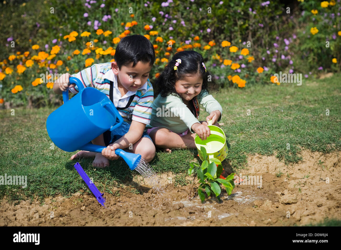 Boy and his sister watering plants in a lawn, Gurgaon, Haryana, India