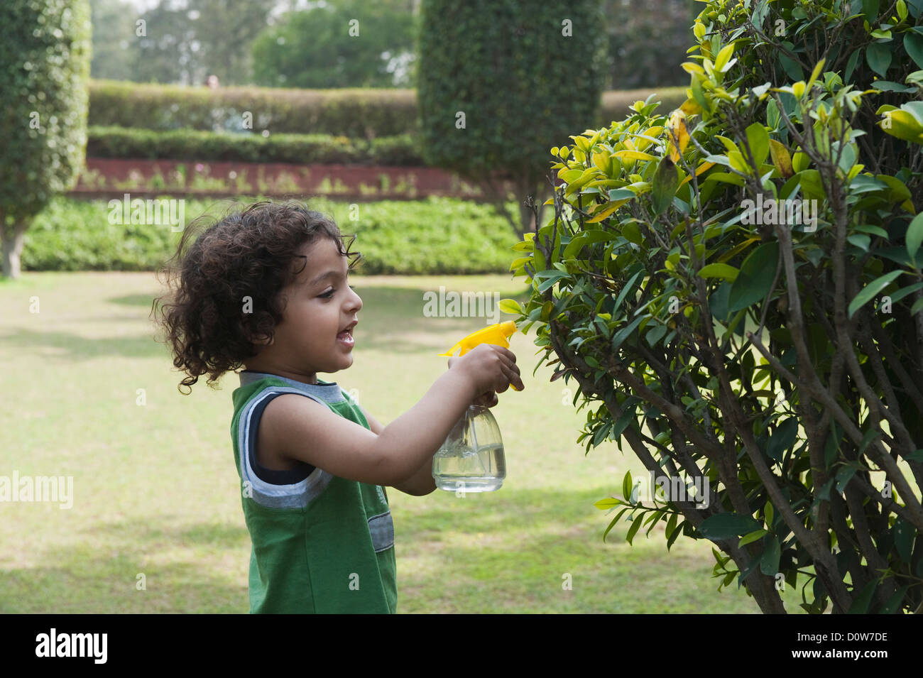 Boy spraying water on plants in a garden Stock Photo Alamy
