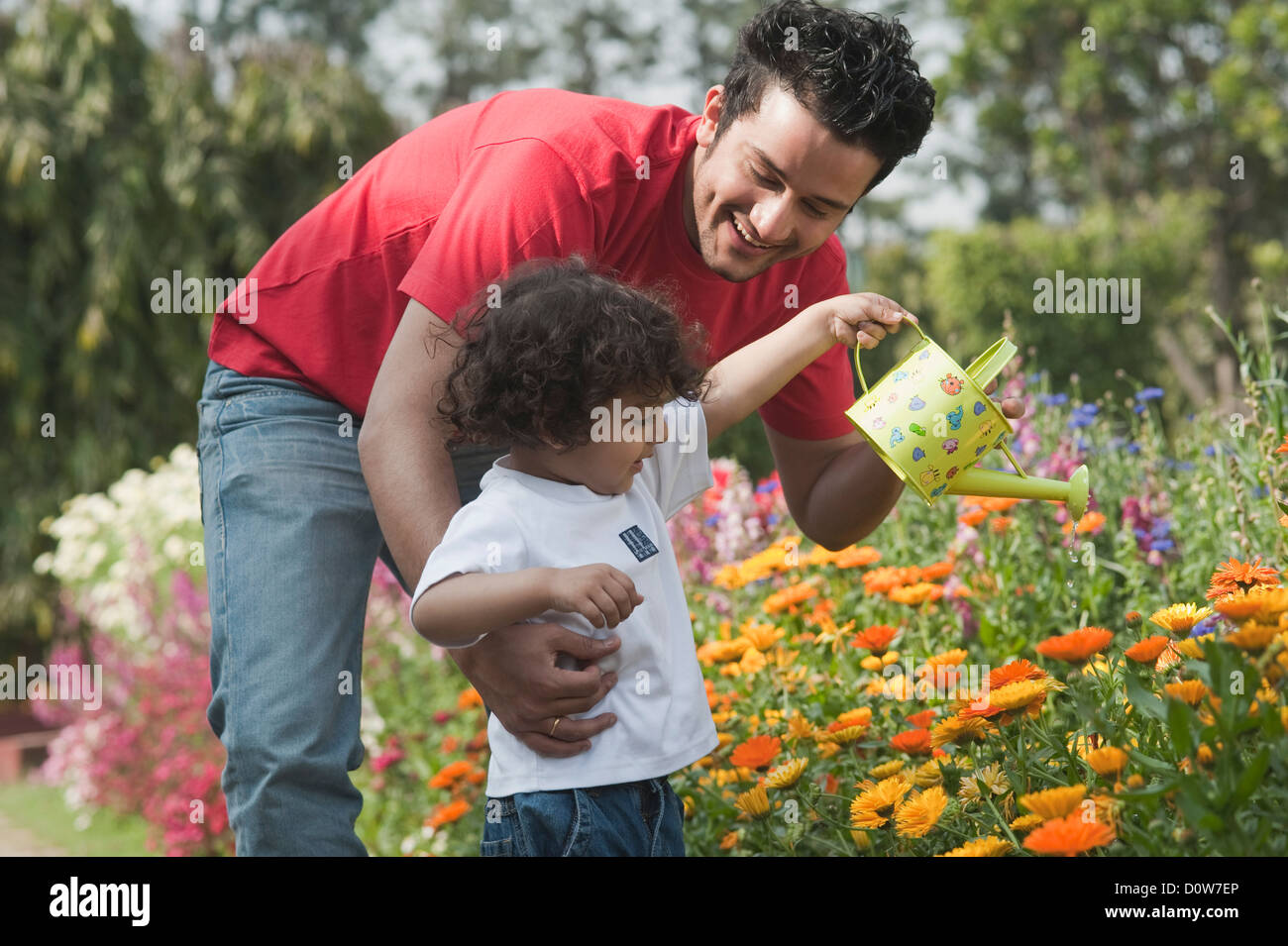 Boy watering plants with his father in a garden Stock Photo - Alamy