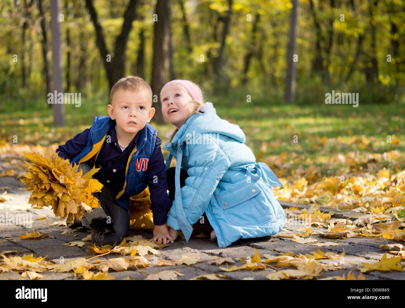 Young brother and sister playing with fallen leaves in a park in autumn ...