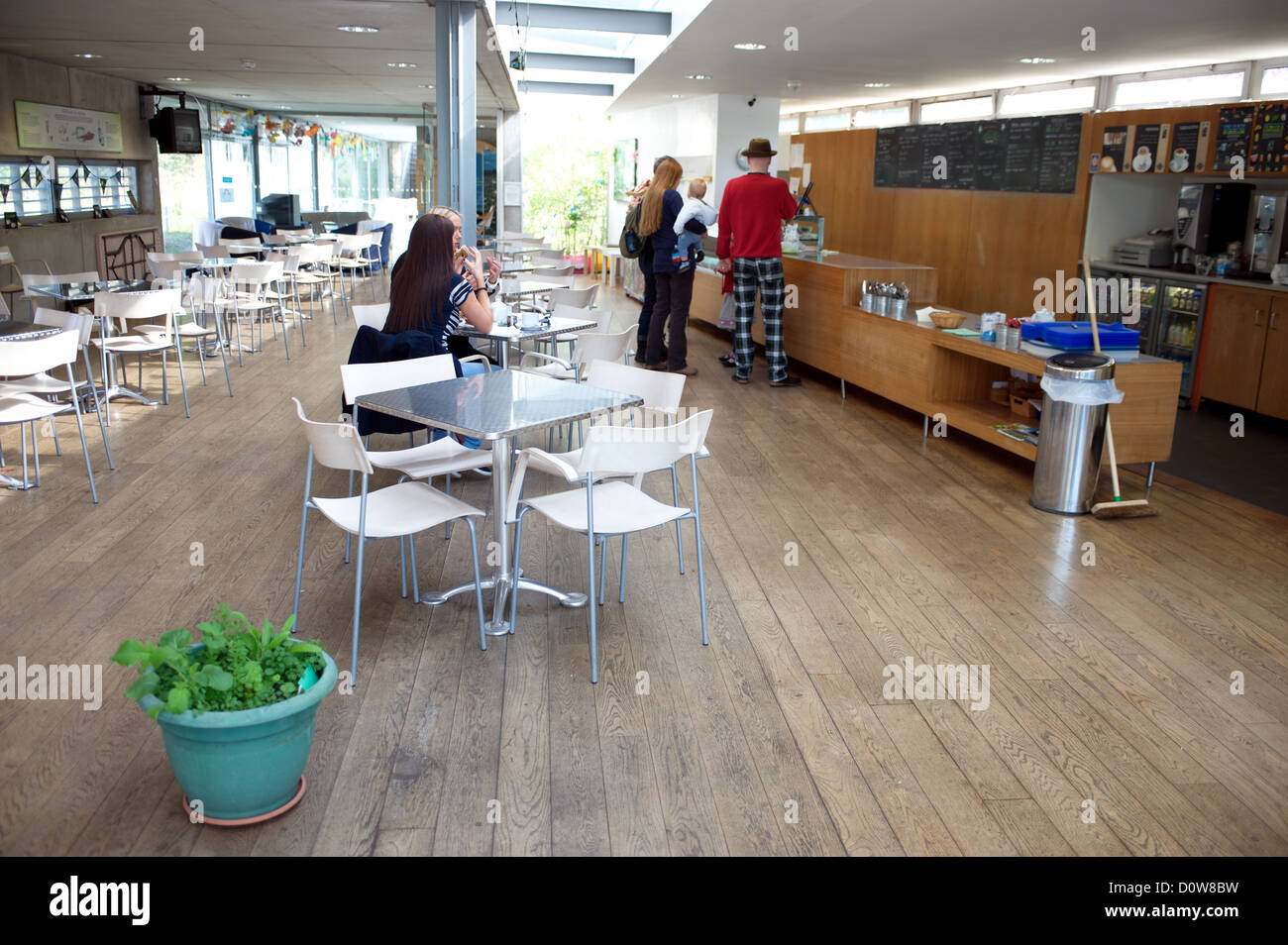 National Wildflower Centre, Court Hey Park, Near Liverpool, England UK