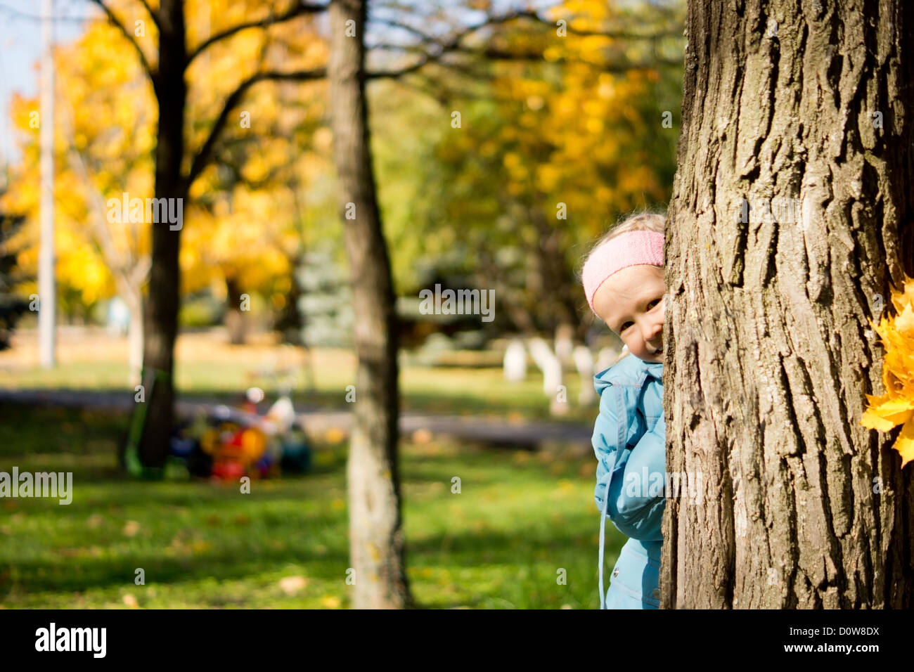 Young girl playing peek a boo hiding behimd the trunk of tree in an autumn park and peering out cheekily from the side Stock Photo