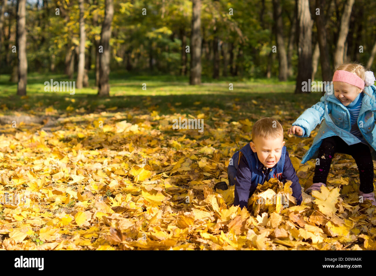 Children playing in a carpet of deep yellow fallen autumn leaves ...