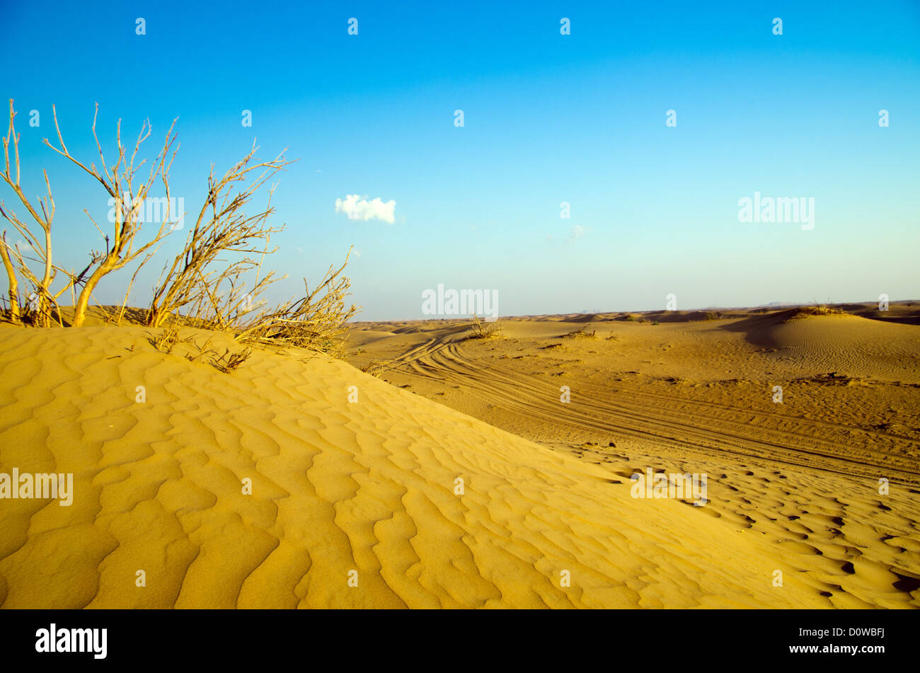 Desert landscape with blue sky Stock Photo - Alamy