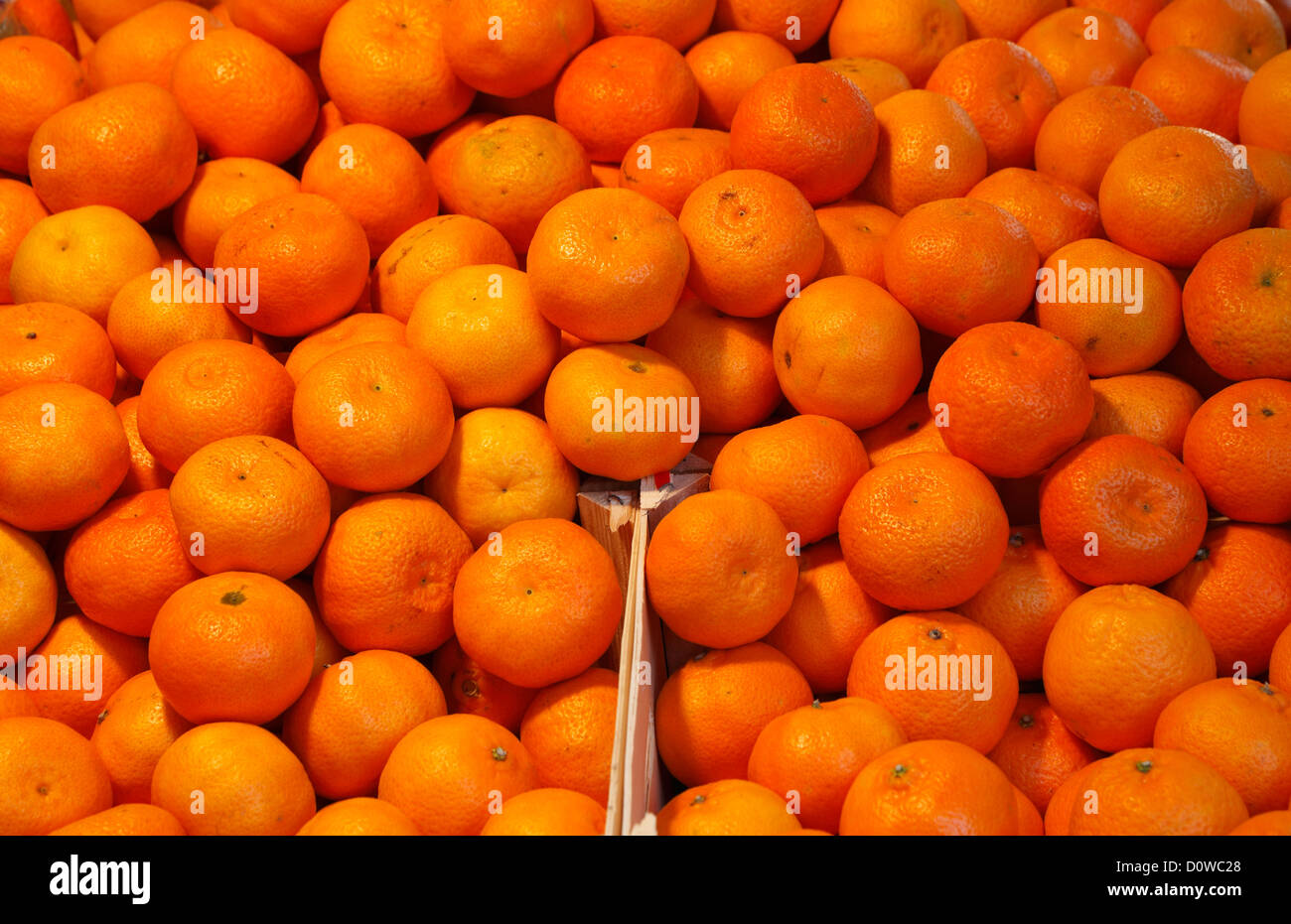Citrus fruit oranges Satsumas Clementines on market stall Stock Photo Alamy