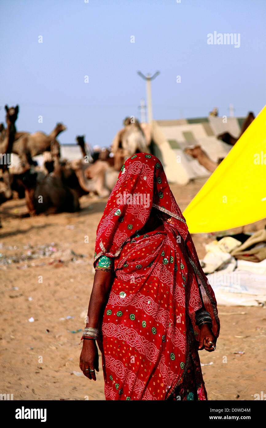 Indian woman in veil Stock Photo - Alamy