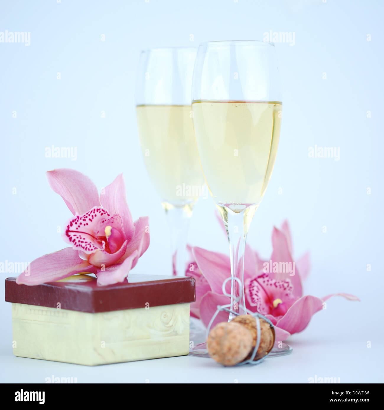 holyday card champagne and orchid Stock Photo
