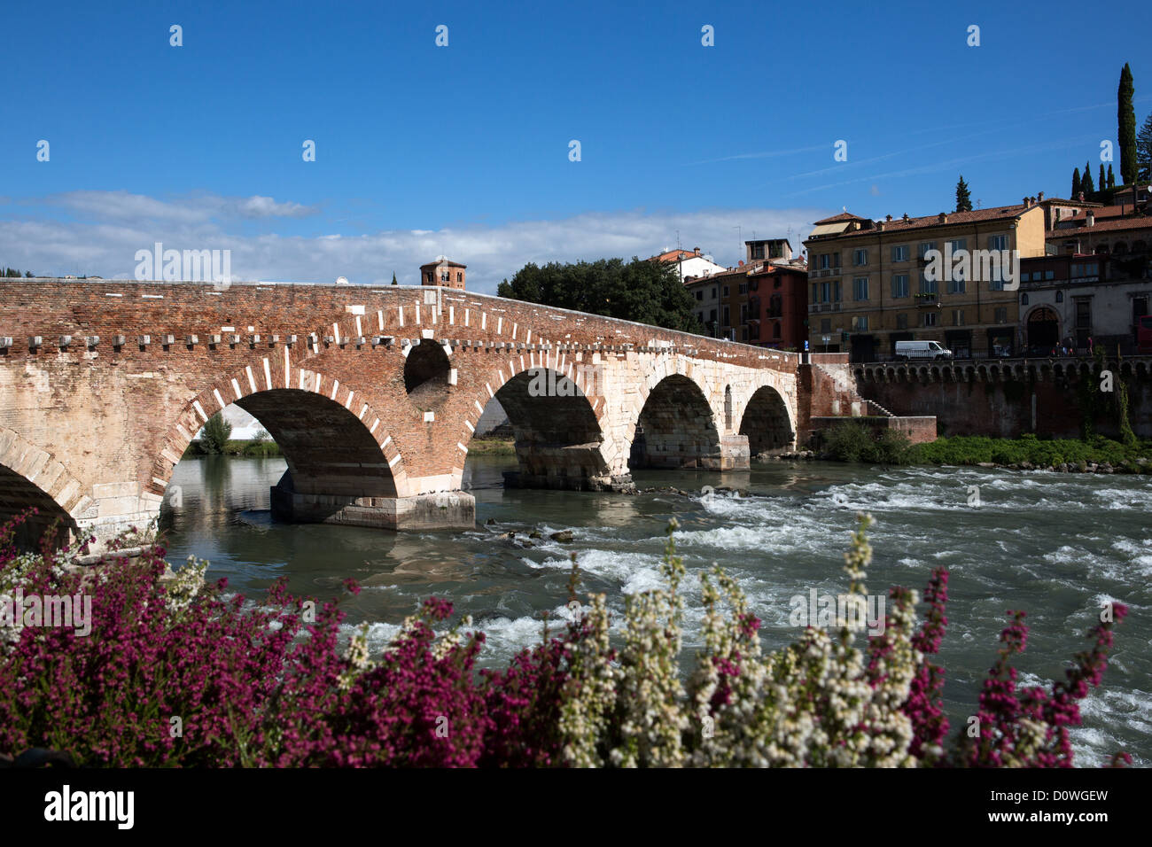 Saint Peter Of Verona High Resolution Stock Photography and Images - Alamy