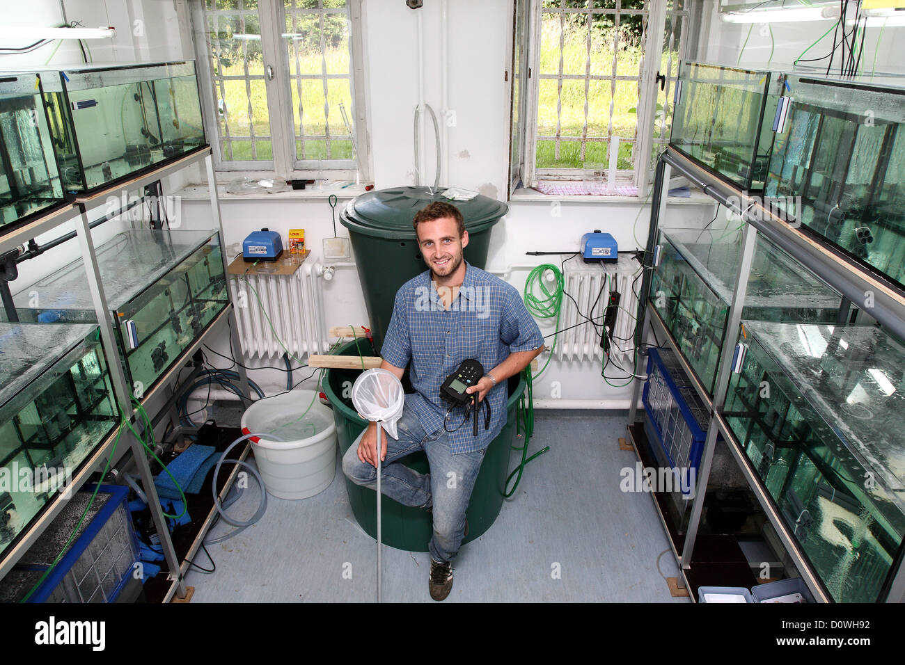 Rostock, Germany, a graduate student in the laboratory of the University of farmed shrimp in Rostock Stock Photo