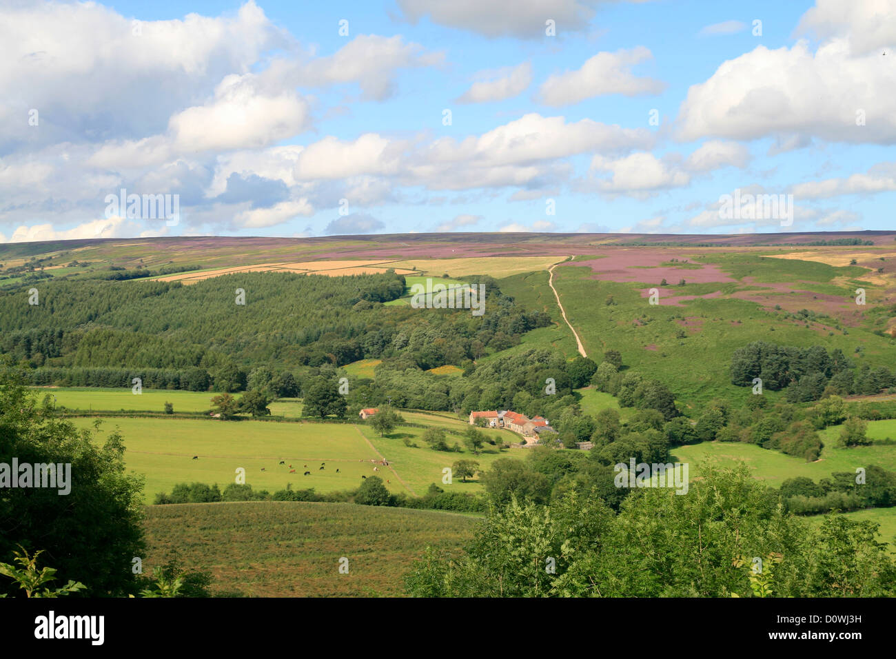 Surprise View to Farndale Gillamoor North Yorkshire England UK Stock