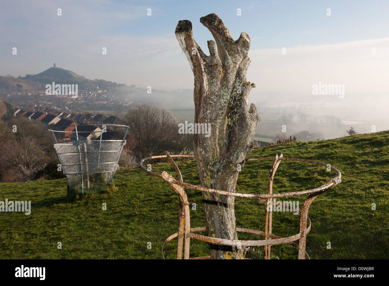 Glastonbury Tor and the remains of the vandalized Holy Thorn Tree,on Wearyall Hill, on a cold frosty misty morning. Dog walkers Stock Photo