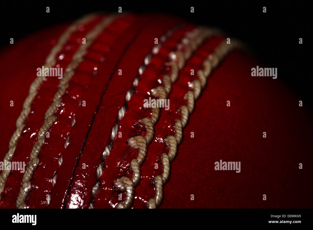 A studio shot of a GrayNicolls Cricket ball showing the seam and