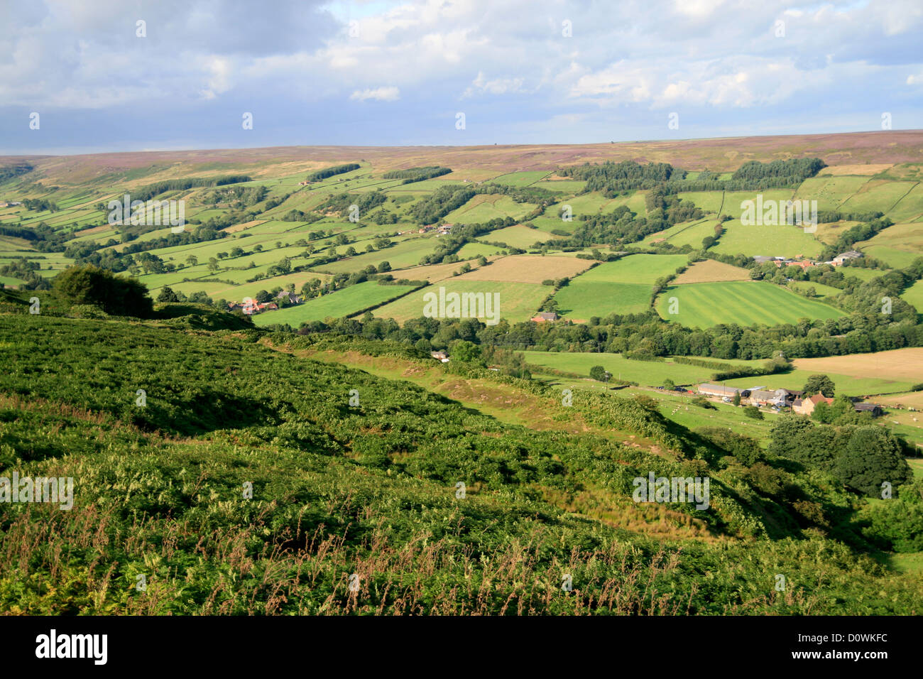 Rosedale from Bank Top North Yorkshire England UK Stock Photo - Alamy