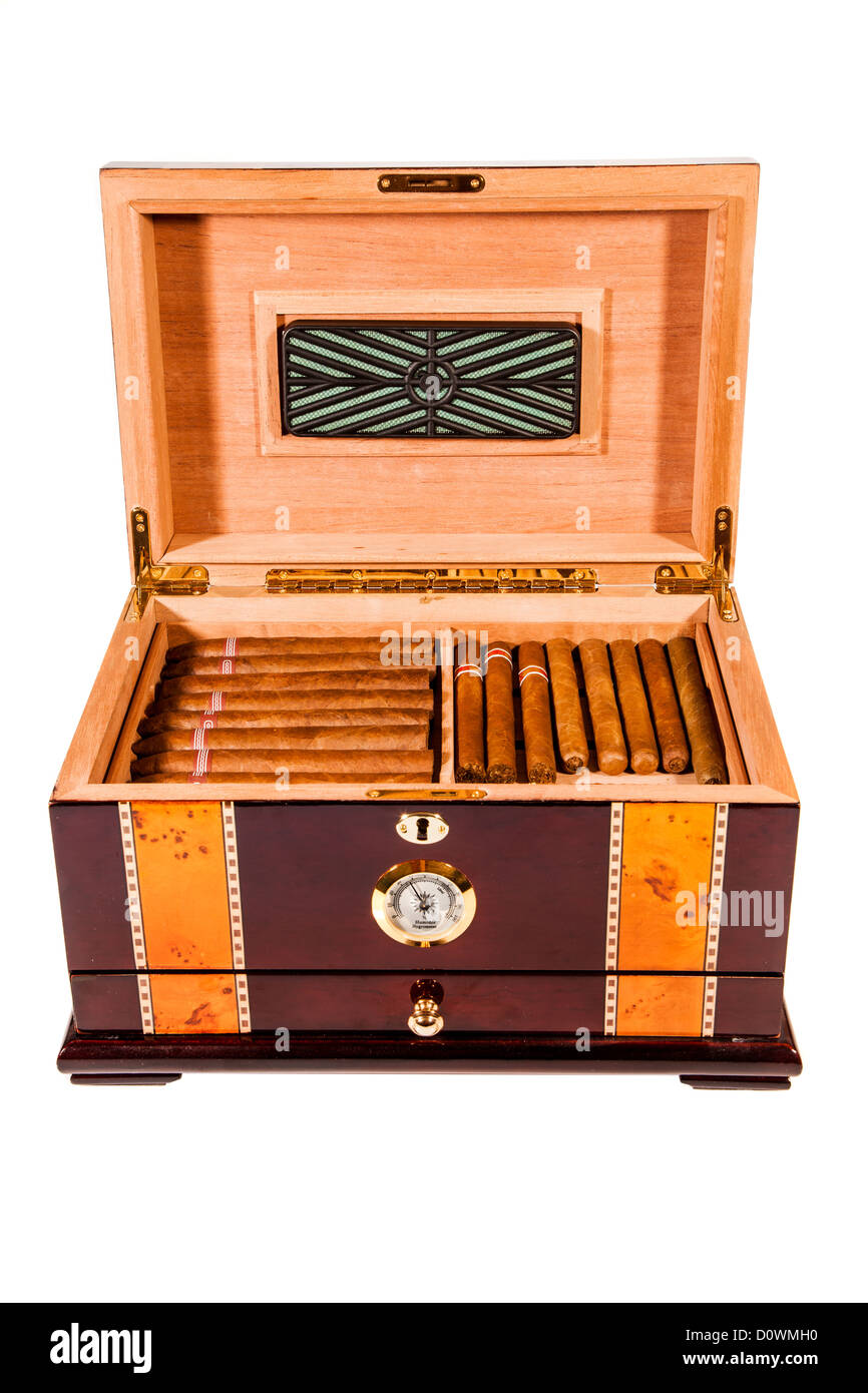 Cigars in humidor Stock Photo Alamy