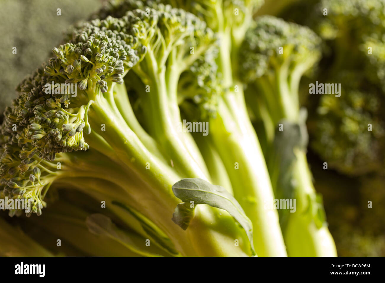 Fresh, Raw Broccoli Stock Photo