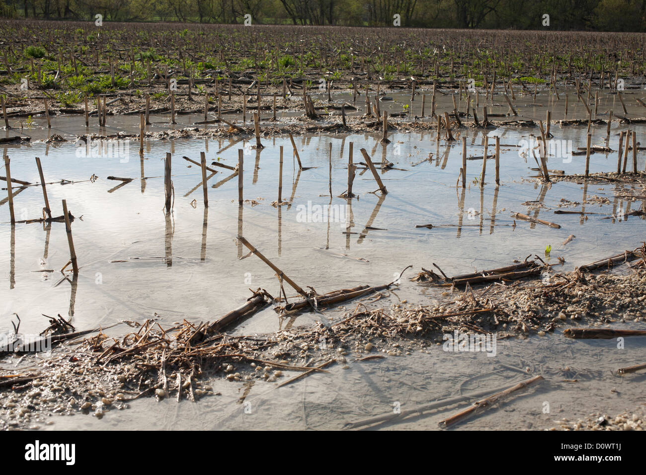 Standing water keeps the farmer from plowing his field in the spring. Stock Photo