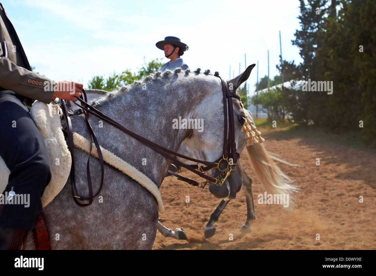 Fair Horses Spanish Horses Stock Photo Alamy
