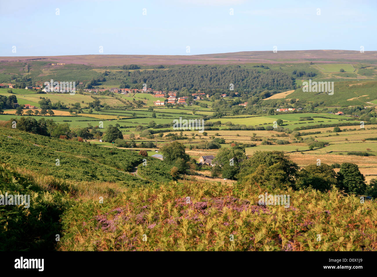Danby Dale from Castleton Rigg North Yorkshire England UK Stock Photo