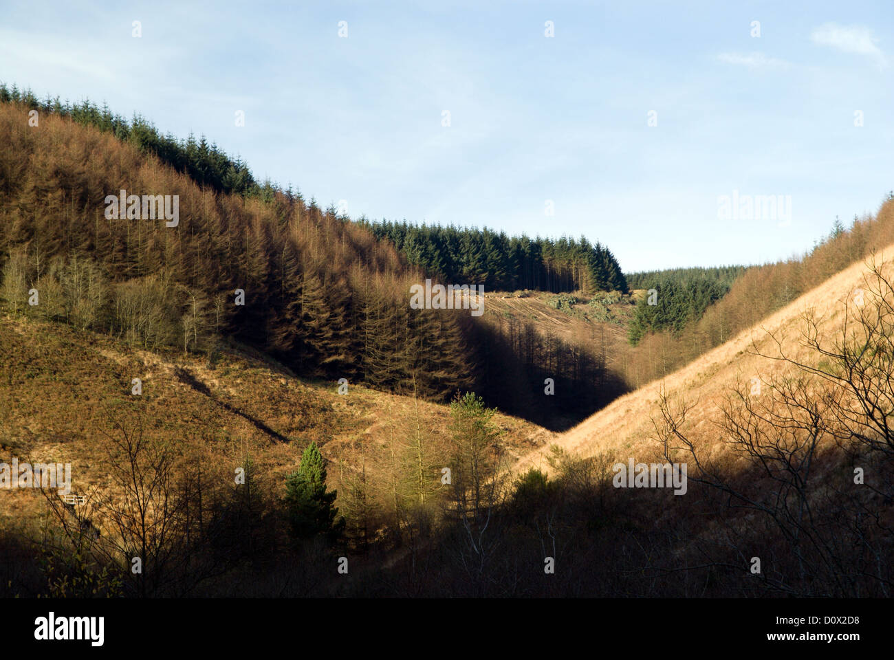 clydach vale country park cwm clydach rhondda valley south wales uk
