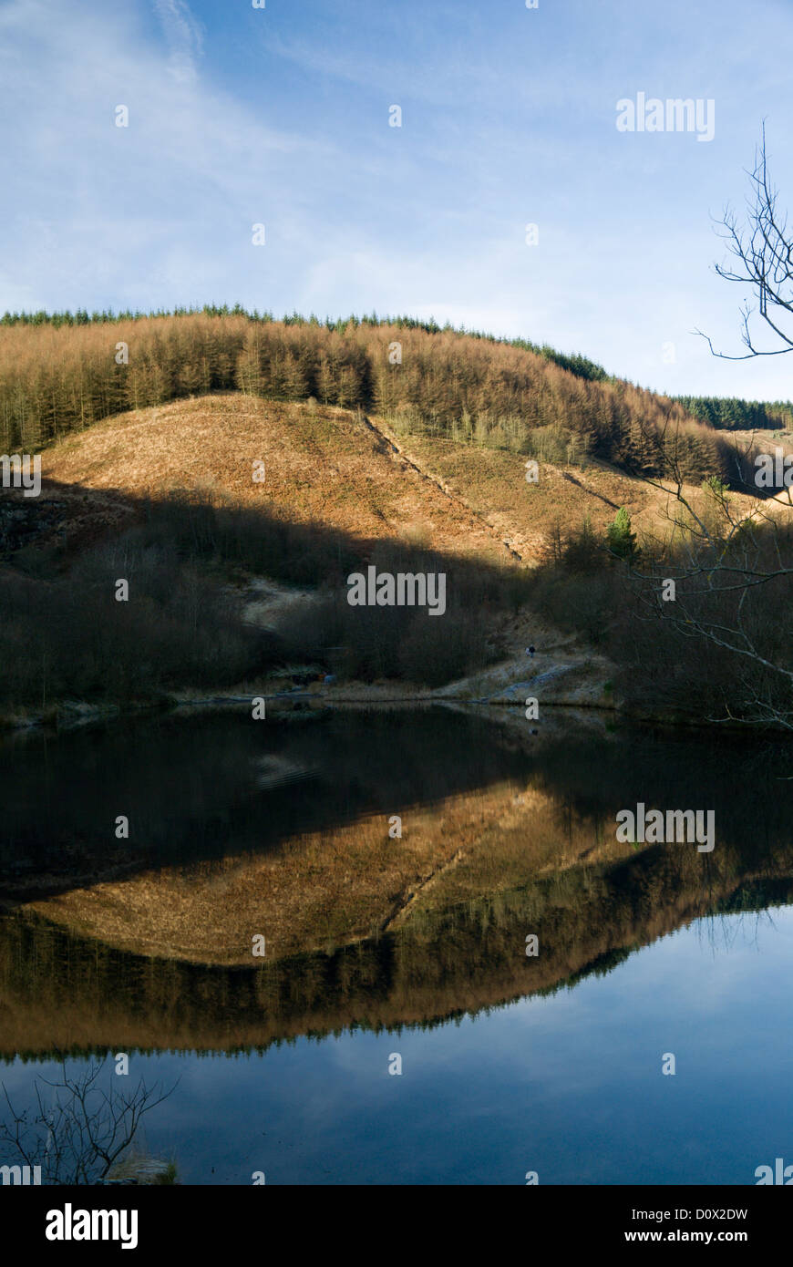 lake and reflection clydach vale country park cwm clydach, tonypandy