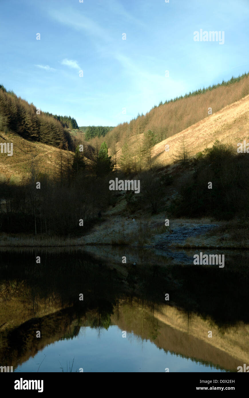 lake and reflection clydach vale country park cwm clydach, tonypandy