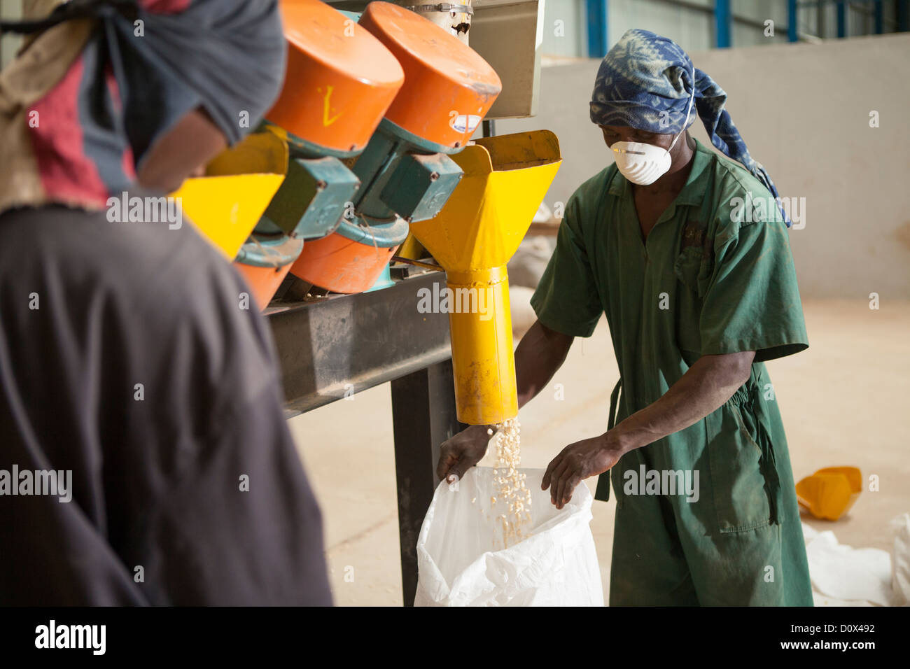 Workers fill sacks of corn at a warehouse in Kampala, Uganda, East Africa. Stock Photo